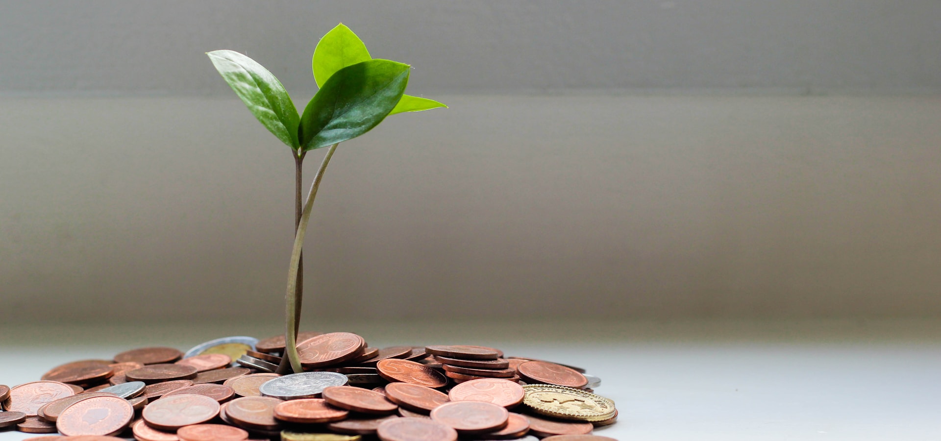 Personal finance and banking services UAE